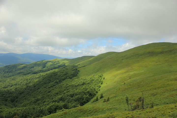 Bieszczady Mountains