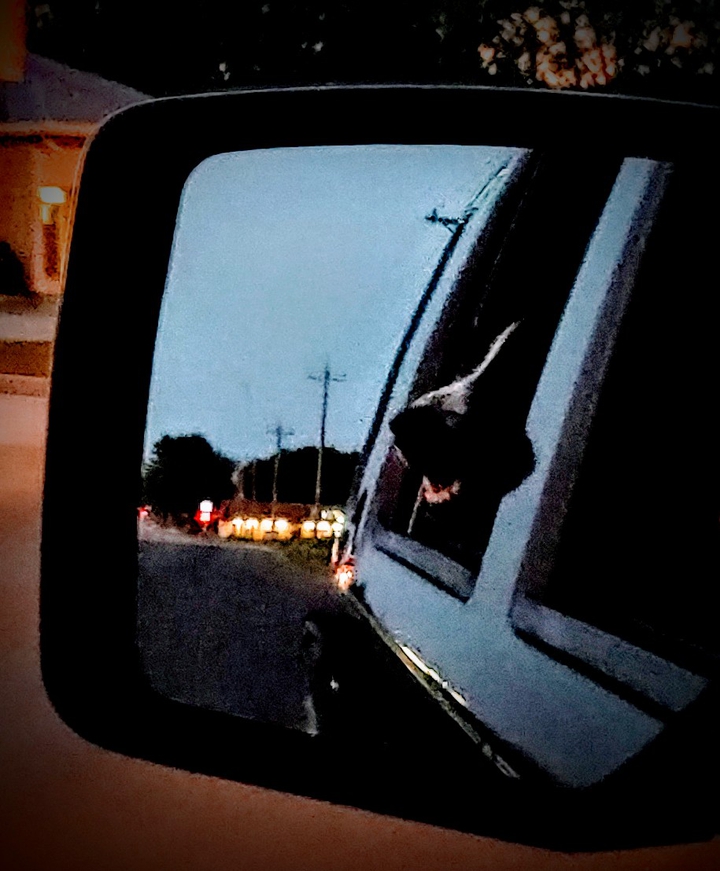 Bestie jeepin it