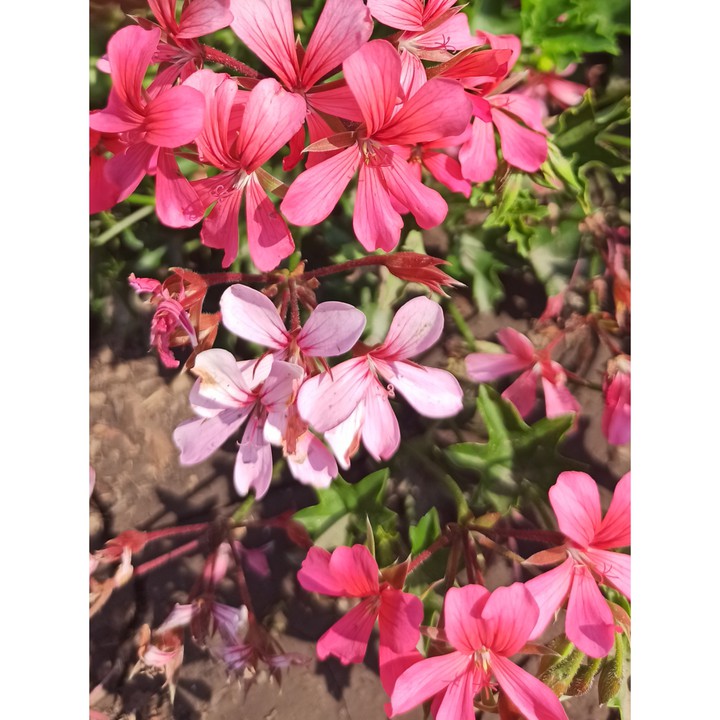 #Україна #літо #summer  2021
