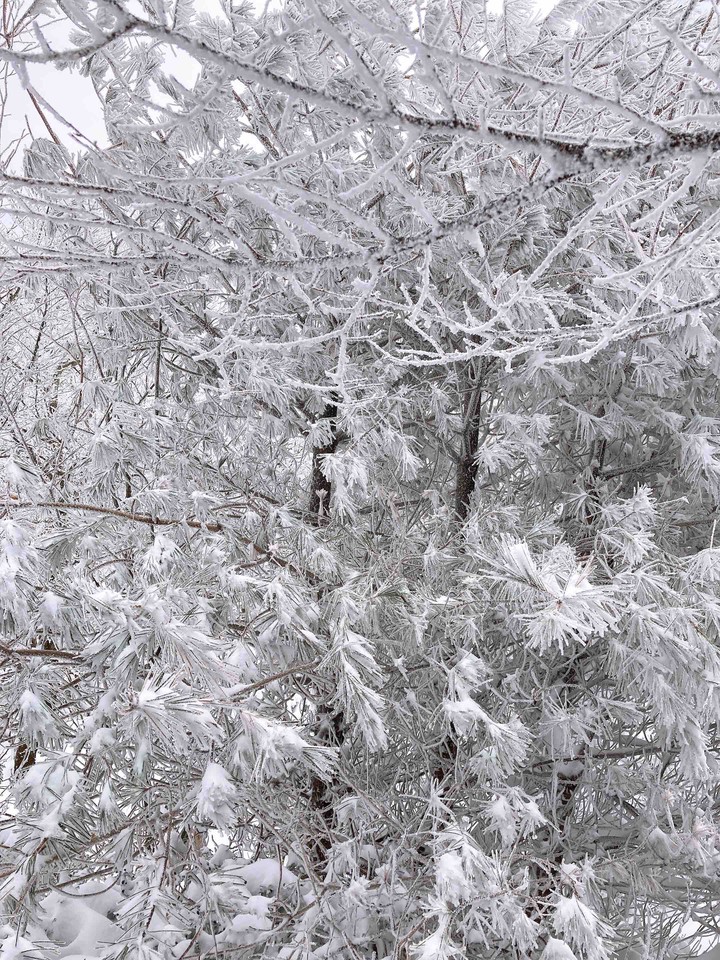 winter