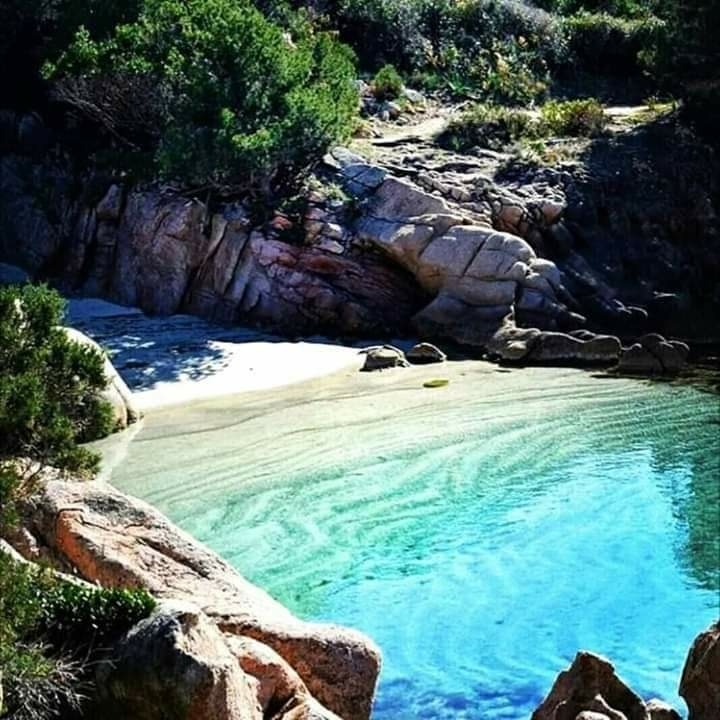 algeria annaba