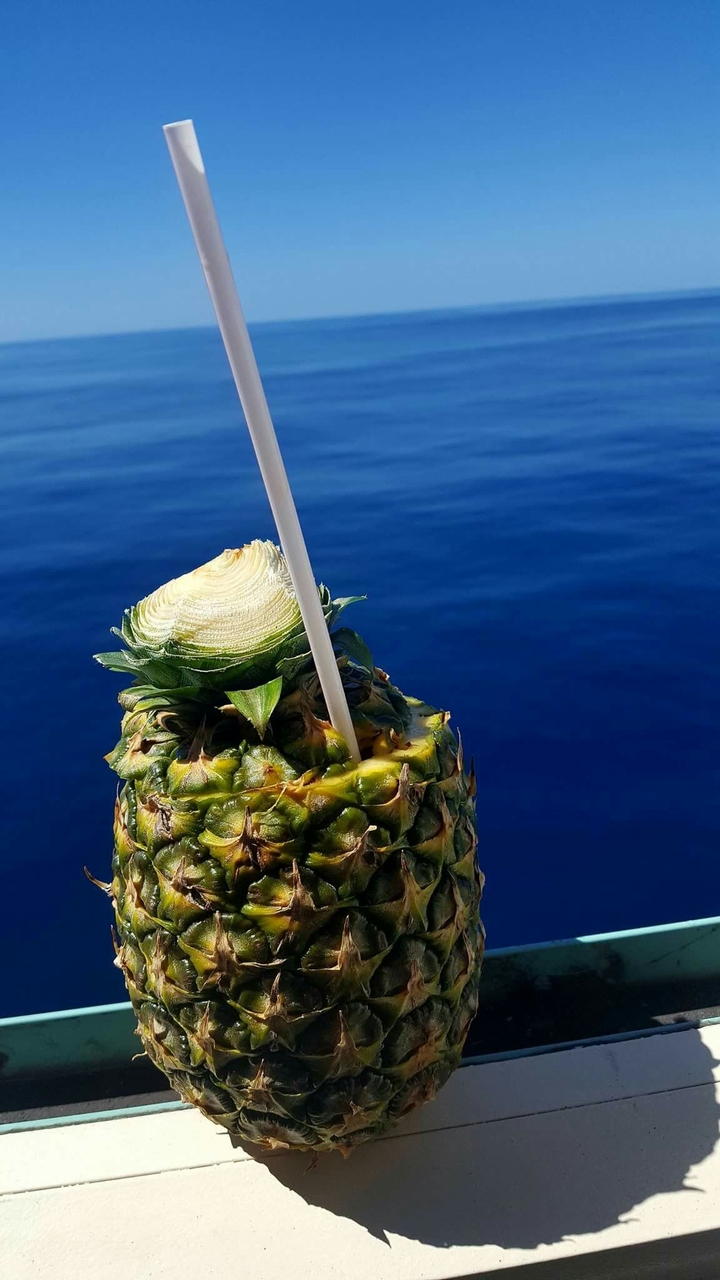 Pineapple Paradise