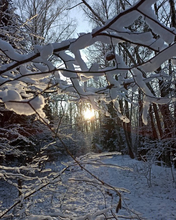 Winter day
