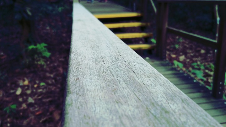 Trek