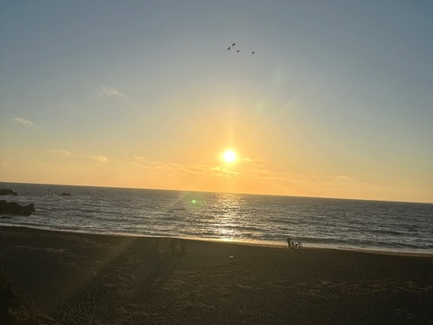 тапети sun, coast