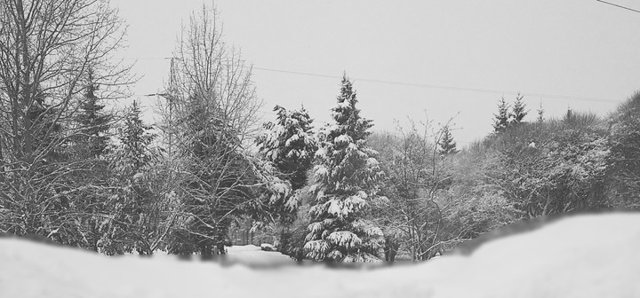 Winter, Sherbinka