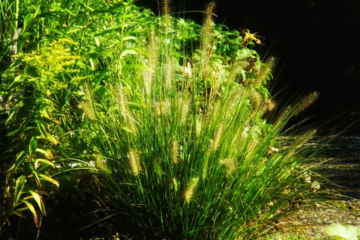 Freshness