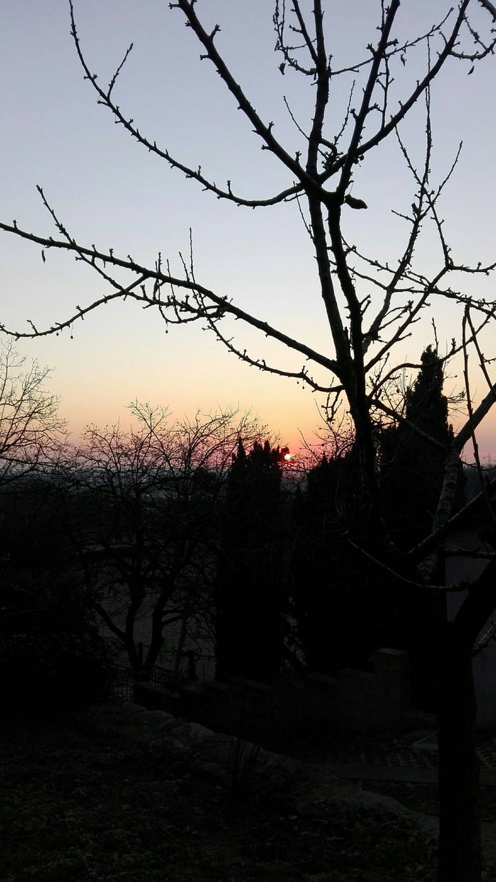 sunshine