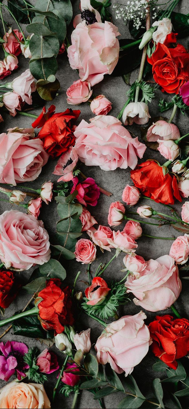 roses