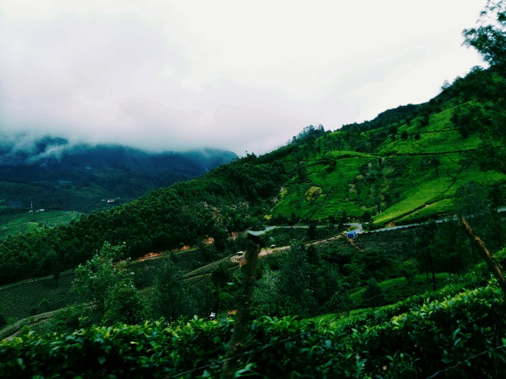 Misty land.