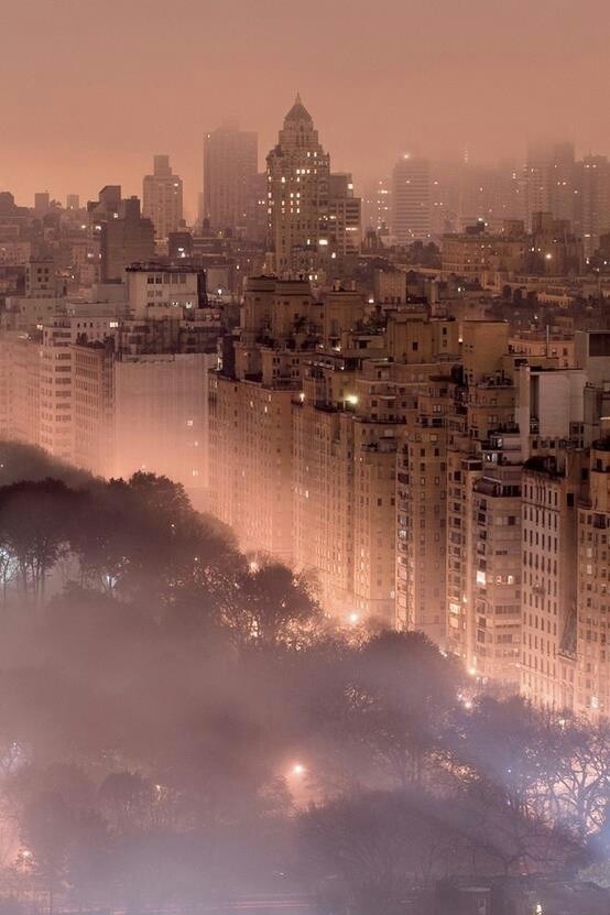 new york city