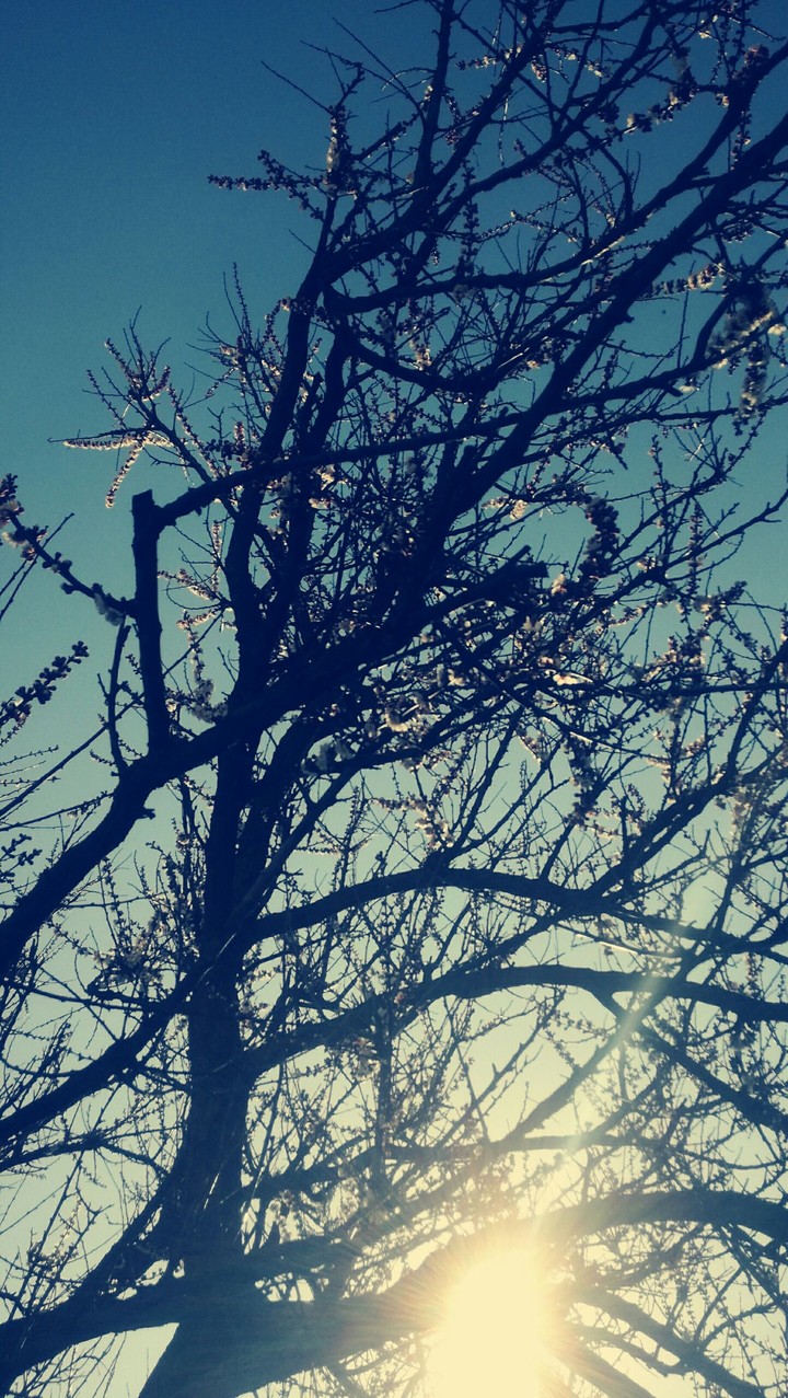 Sunny day