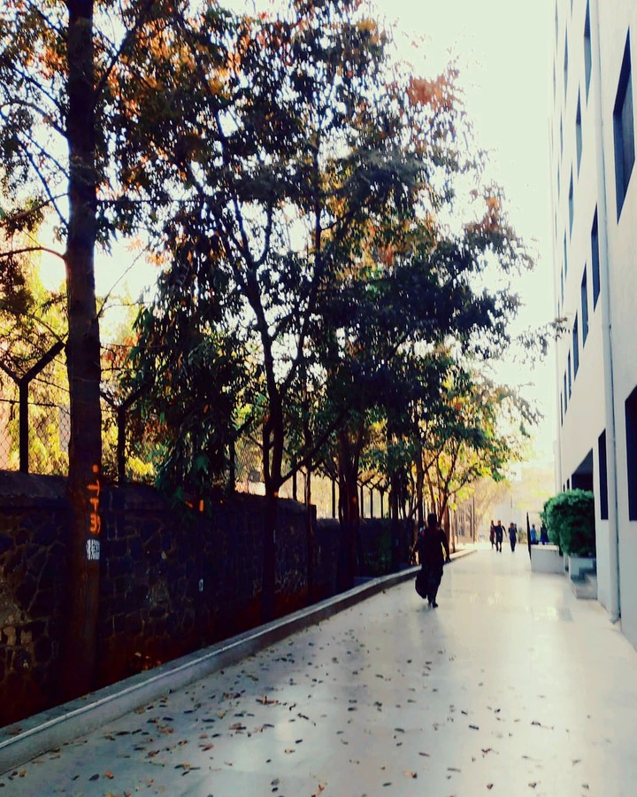 Lonely