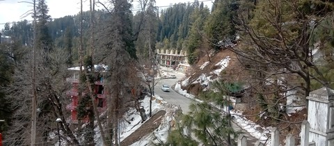 cars, larch Hintergrundbilder