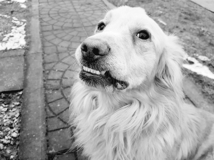 SMILE ;)