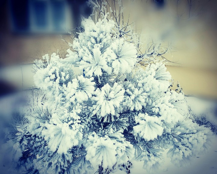 Winter! Cold!