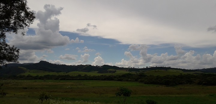 Verde e Branco