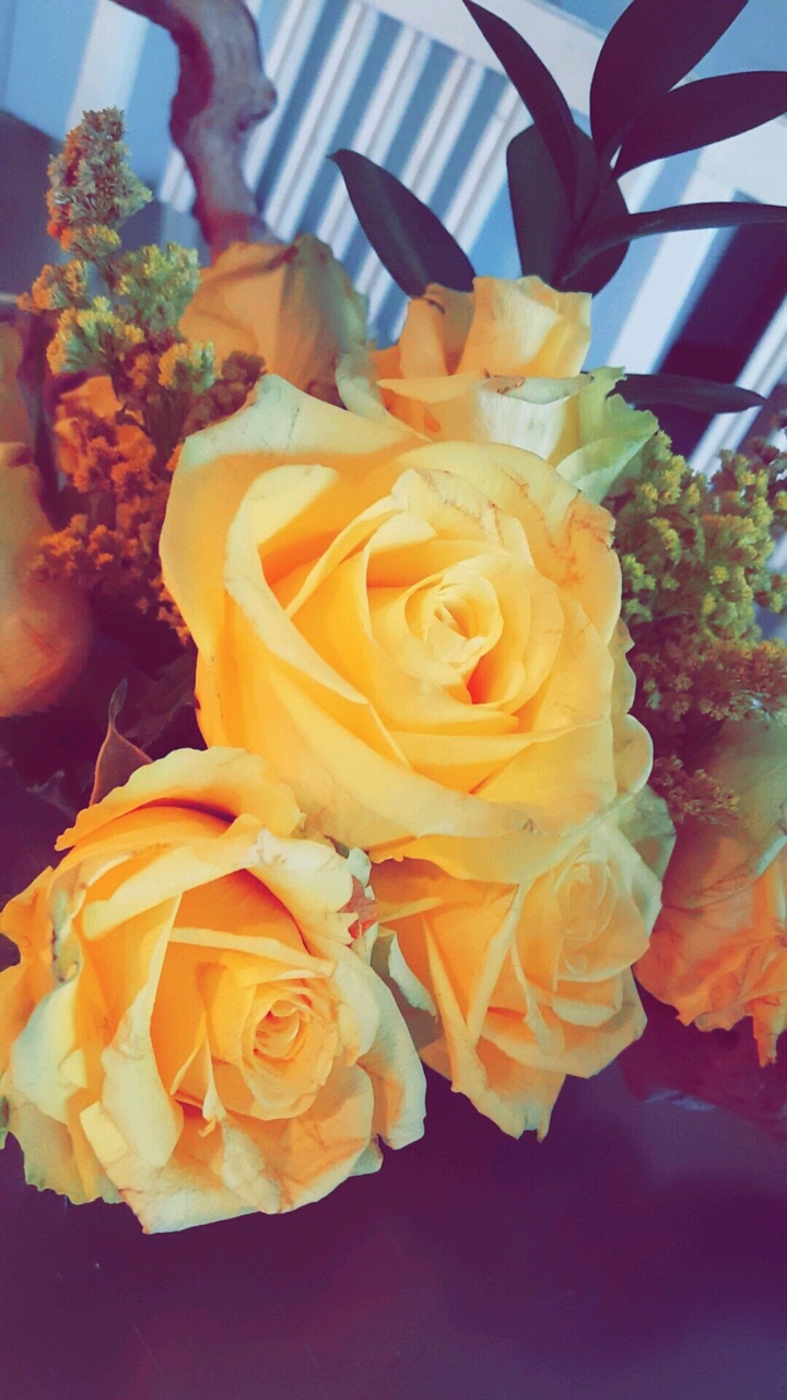 My Mother's Yellow Roses