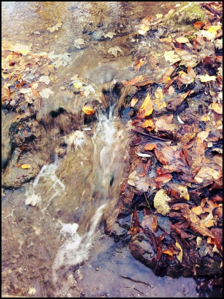 Autumn 