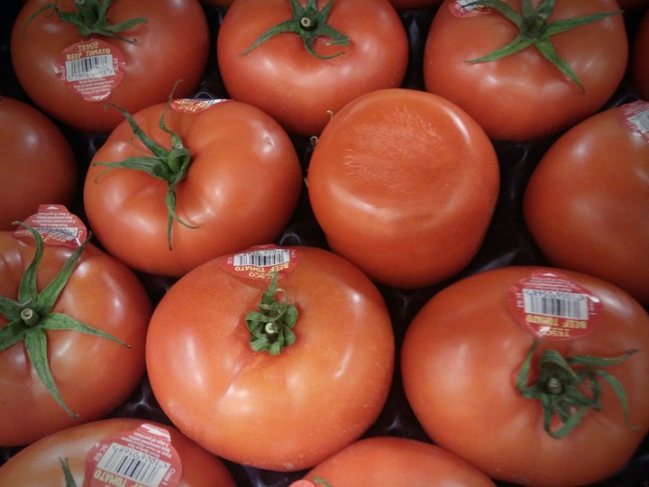 kamatis