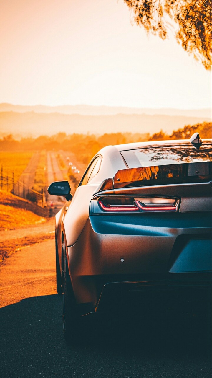 Wallpaper