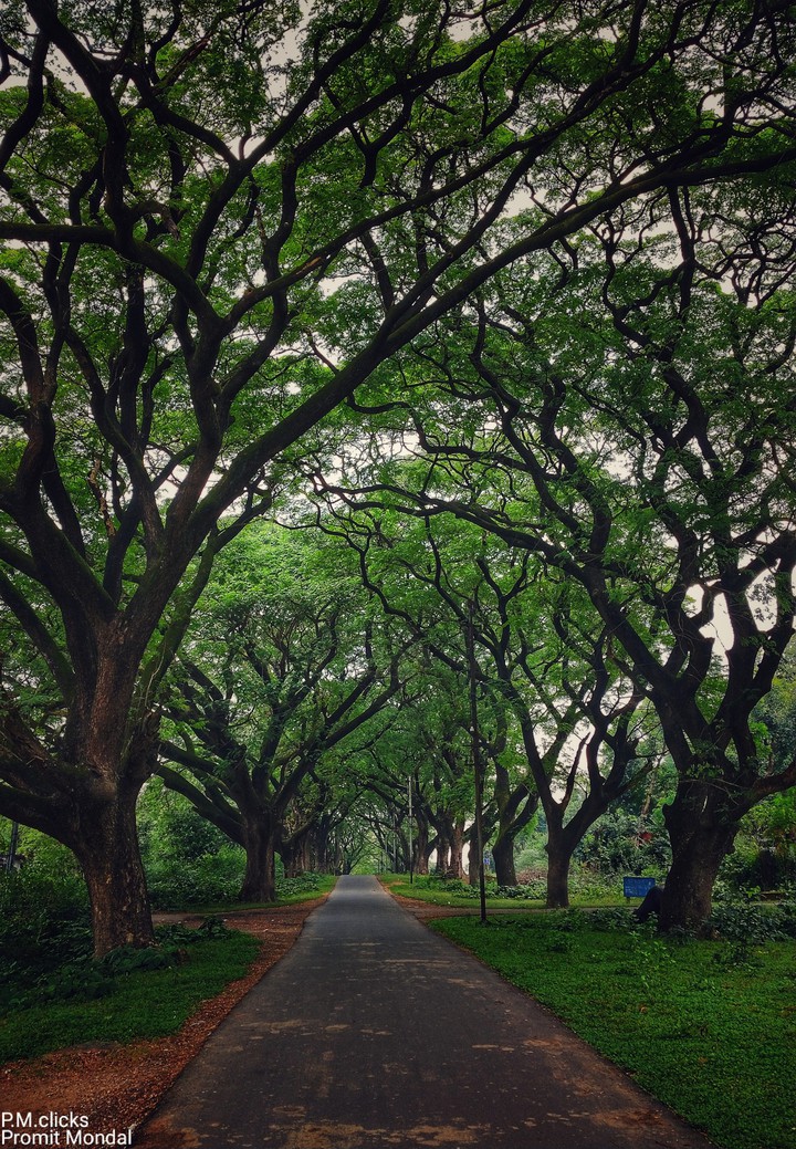 Alone on a Way