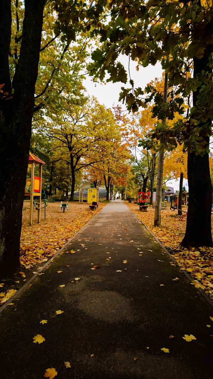 Autumn