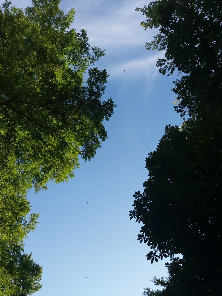sky river