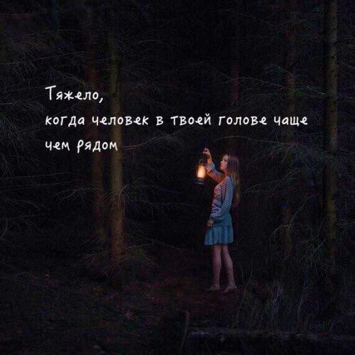 цитата