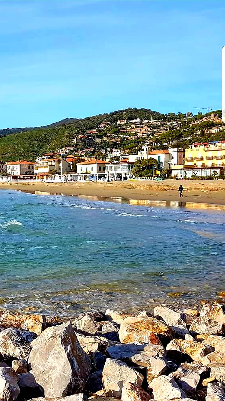 mare