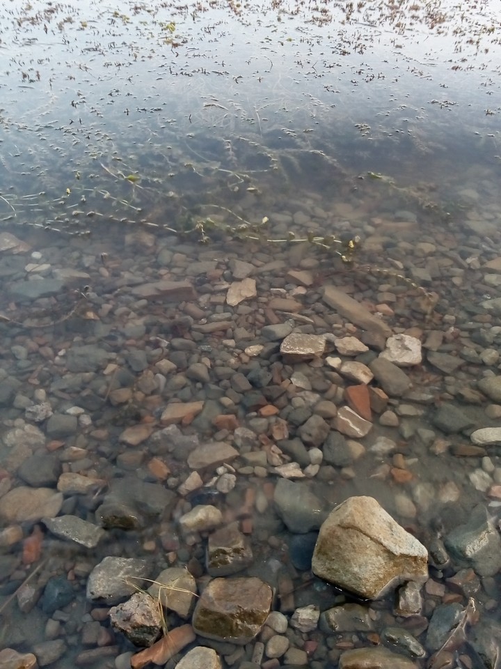 берег