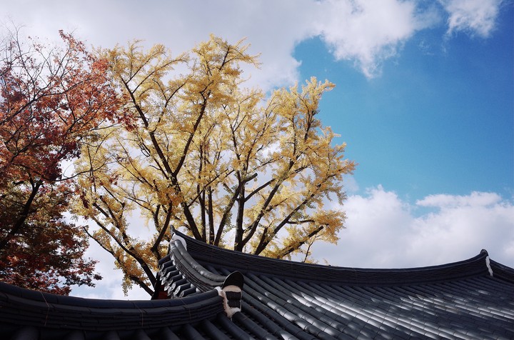 roof and sky
