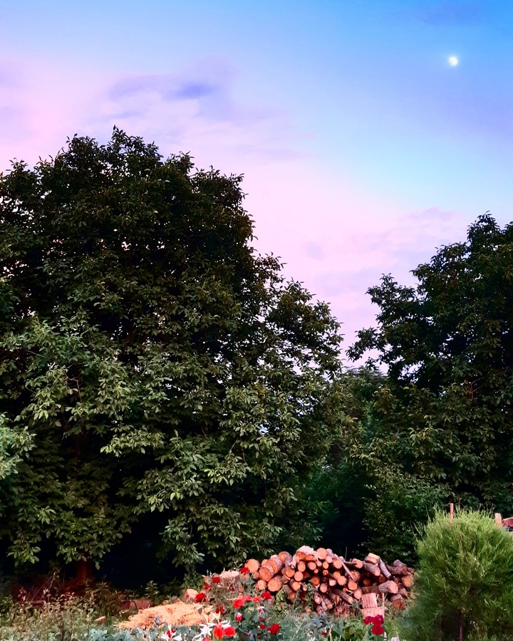wonderful evening