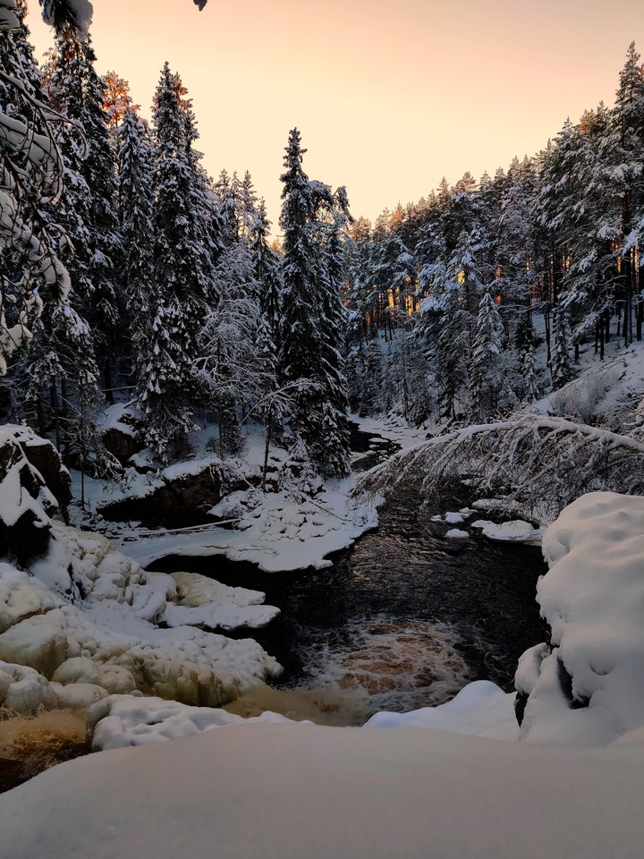 Winter