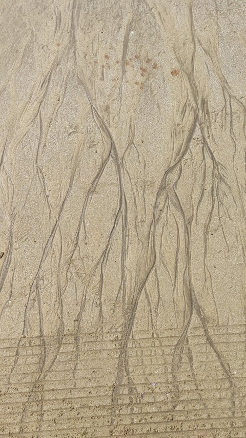 Sand Designs