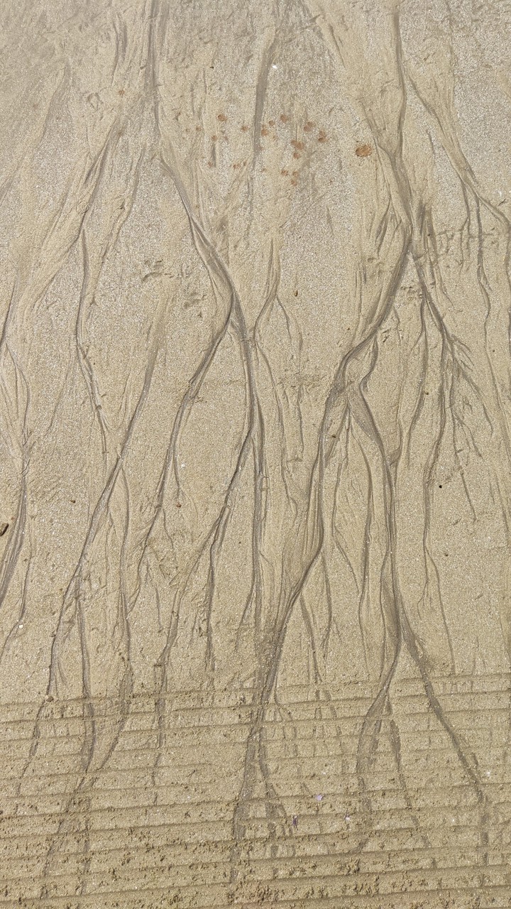 Sand Designs