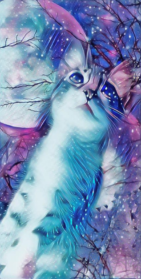 cat dreams
