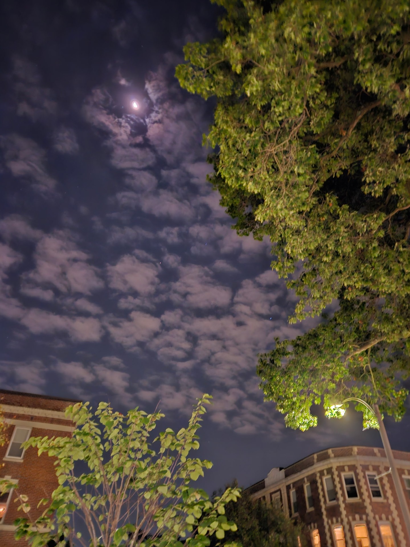sfondi moonlight, moon