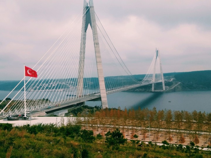 Bridge