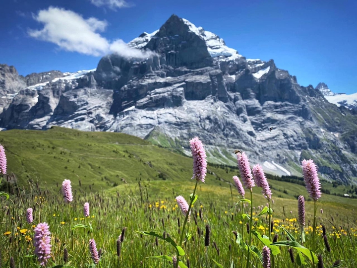 Mountains