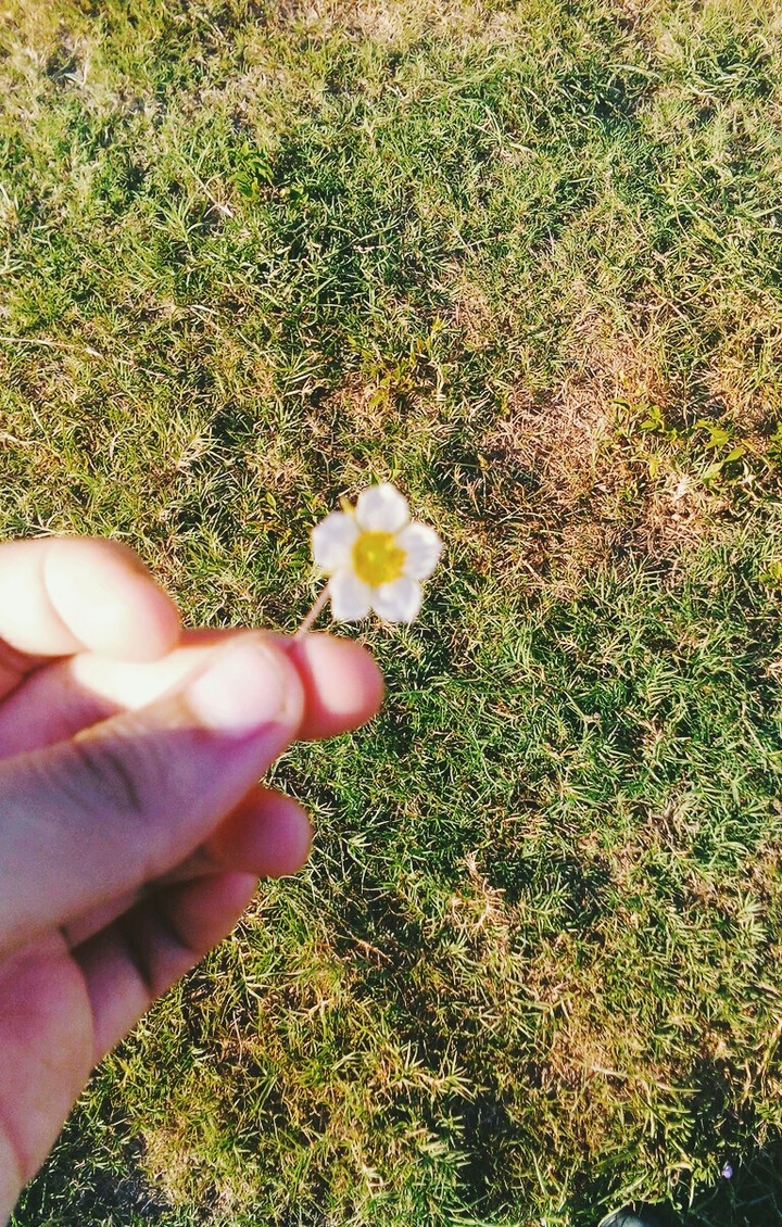 Take the little flower~