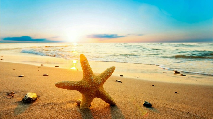 whos the star, im the star