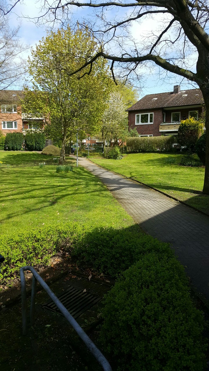 sunny day