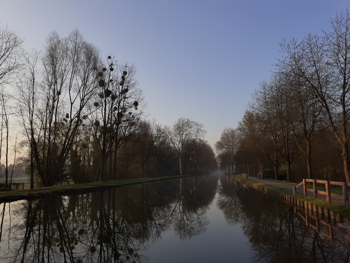 quiet water in the morning