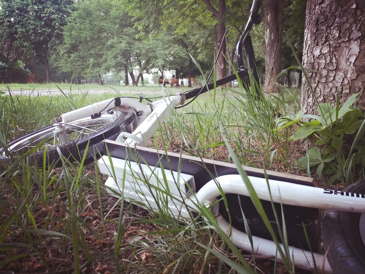 footbike in the grass