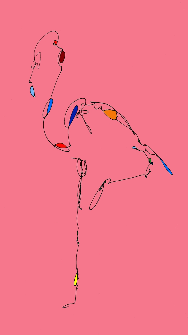flamingo