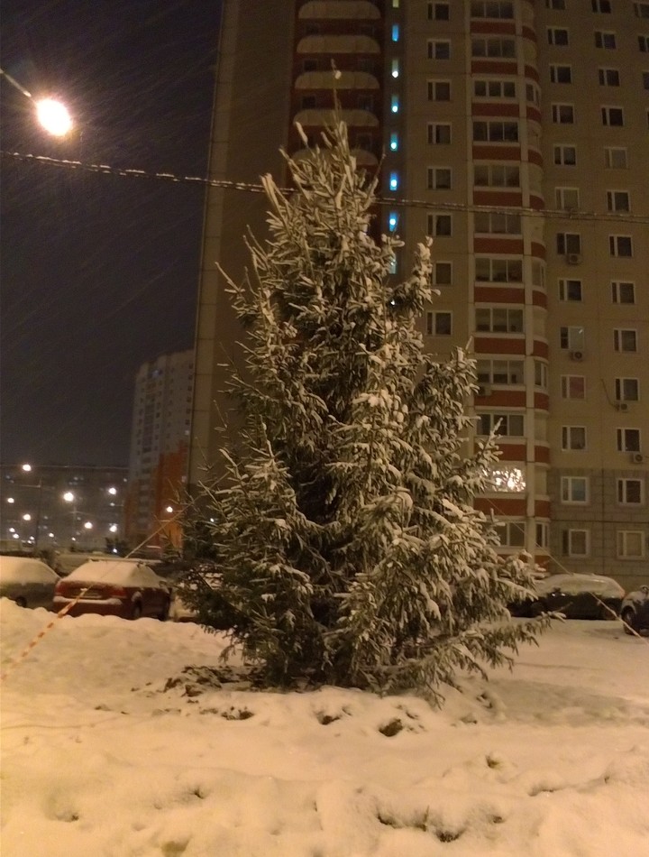 Зима