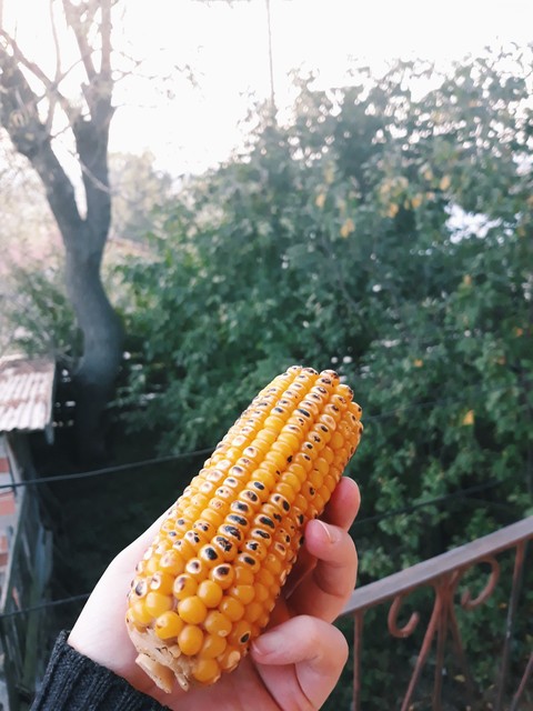 Köy