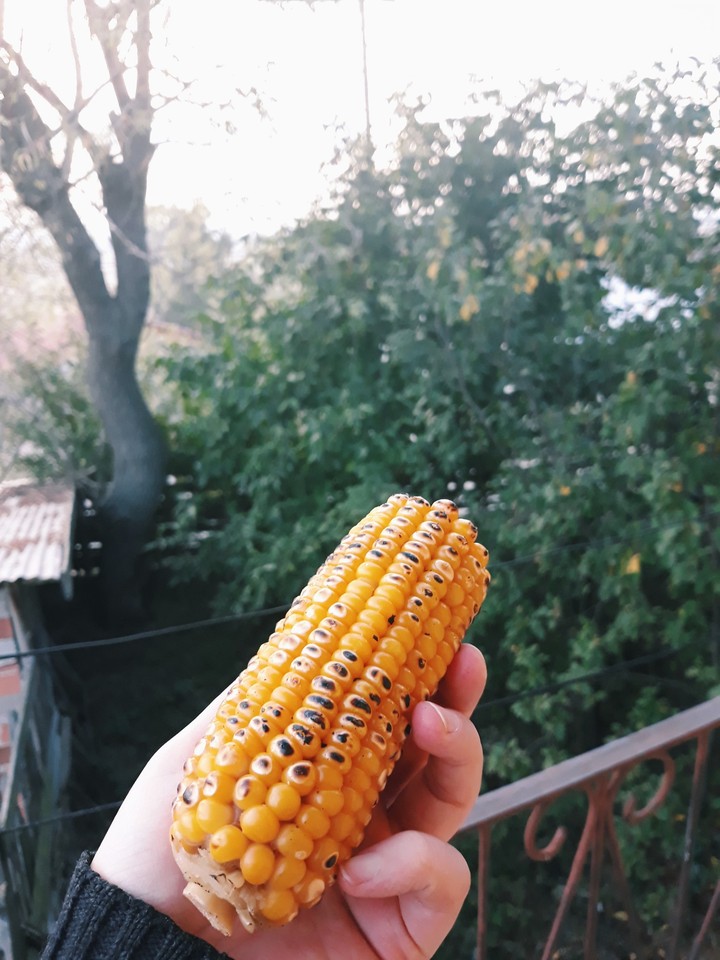 Köy