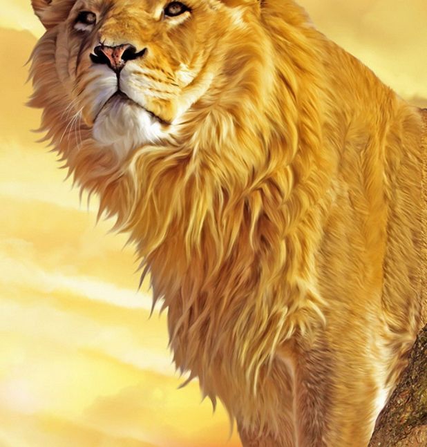 lion